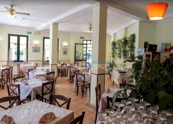 WhatsApp Image 2026-01-23 at 10.58.27.jpeg - Ristorante Via Sottomonte 6, Massa - foto 5