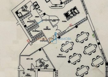 WhatsApp Image 2026-01-23 at 18.36.20.jpeg - Ristorante Via Sottomonte 6, Massa - foto 28