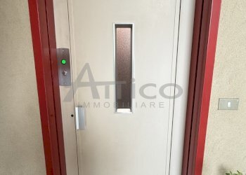 IMG_8900.jpeg - Quadrilocale Via della Costituzione 30, Rovigo - foto 7