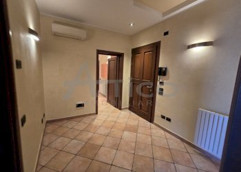 20241010_094347.jpg - Appartamento Corso del Popolo RO, Rovigo - foto 6