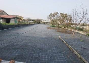 20251003_160138.jpg - Villa Villata - photo 19