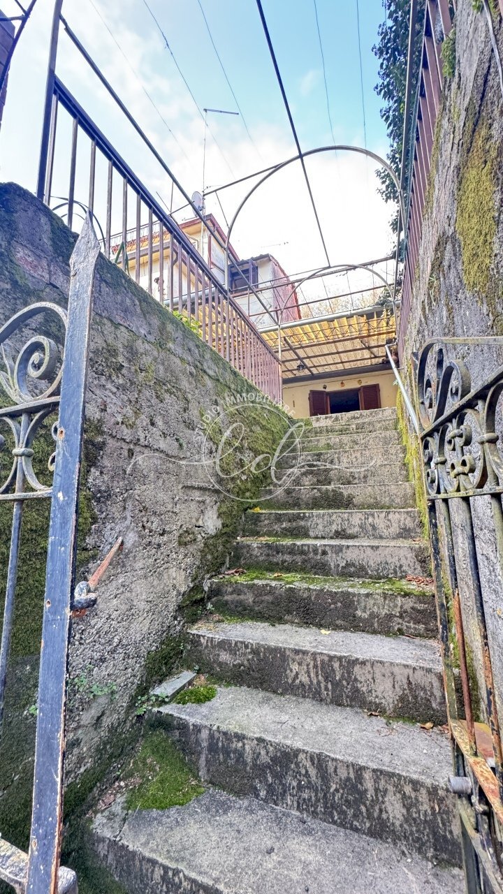 IMG_3036.JPG - Terratetto - Terracielo Pietrasanta - foto 2