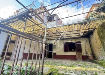 IMG_3030.JPG - Terratetto - Terracielo Pietrasanta - foto 1