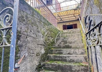 IMG_3036.JPG - Terratetto - Terracielo Pietrasanta - foto 2