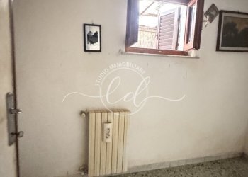 IMG_3003.JPG - Terratetto - Terracielo Pietrasanta - foto 13