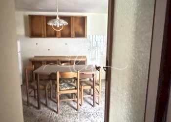 IMG_3005.JPG - Terratetto - Terracielo Pietrasanta - foto 14