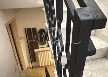 IMG_3007.JPG - Terratetto - Terracielo Pietrasanta - foto 17