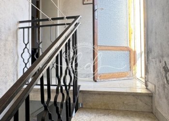 IMG_3016.JPG - Terratetto - Terracielo Pietrasanta - foto 25