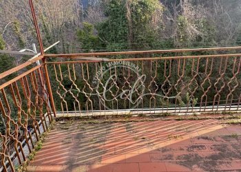 IMG_3017.JPG - Terratetto - Terracielo Pietrasanta - foto 26