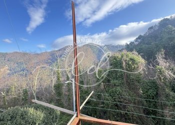 IMG_3021.JPG - Terratetto - Terracielo Pietrasanta - foto 29