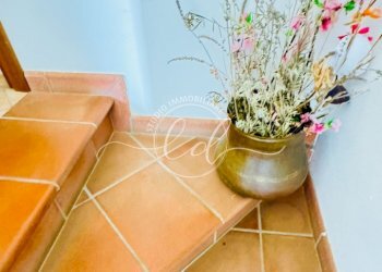 IMG_2853 3.JPG - Villa Massarosa - foto 27