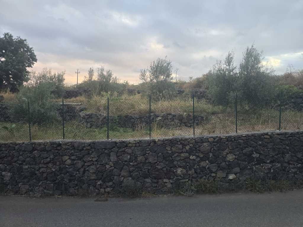 3.jpg - Terreno agricolo Via Risorgimento 31-33, Camporotondo Etneo - foto 3