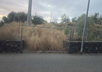 7.jpg - Terreno agricolo Via Risorgimento 31-33, Camporotondo Etneo - foto 7