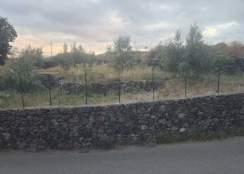 10.jpg - Terreno agricolo Via Risorgimento 31-33, Camporotondo Etneo - foto 10