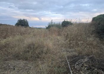 11.jpg - Terreno agricolo Via Risorgimento 31-33, Camporotondo Etneo - foto 11