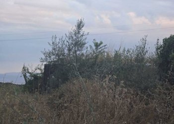 13.jpg - Terreno agricolo Via Risorgimento 31-33, Camporotondo Etneo - foto 13