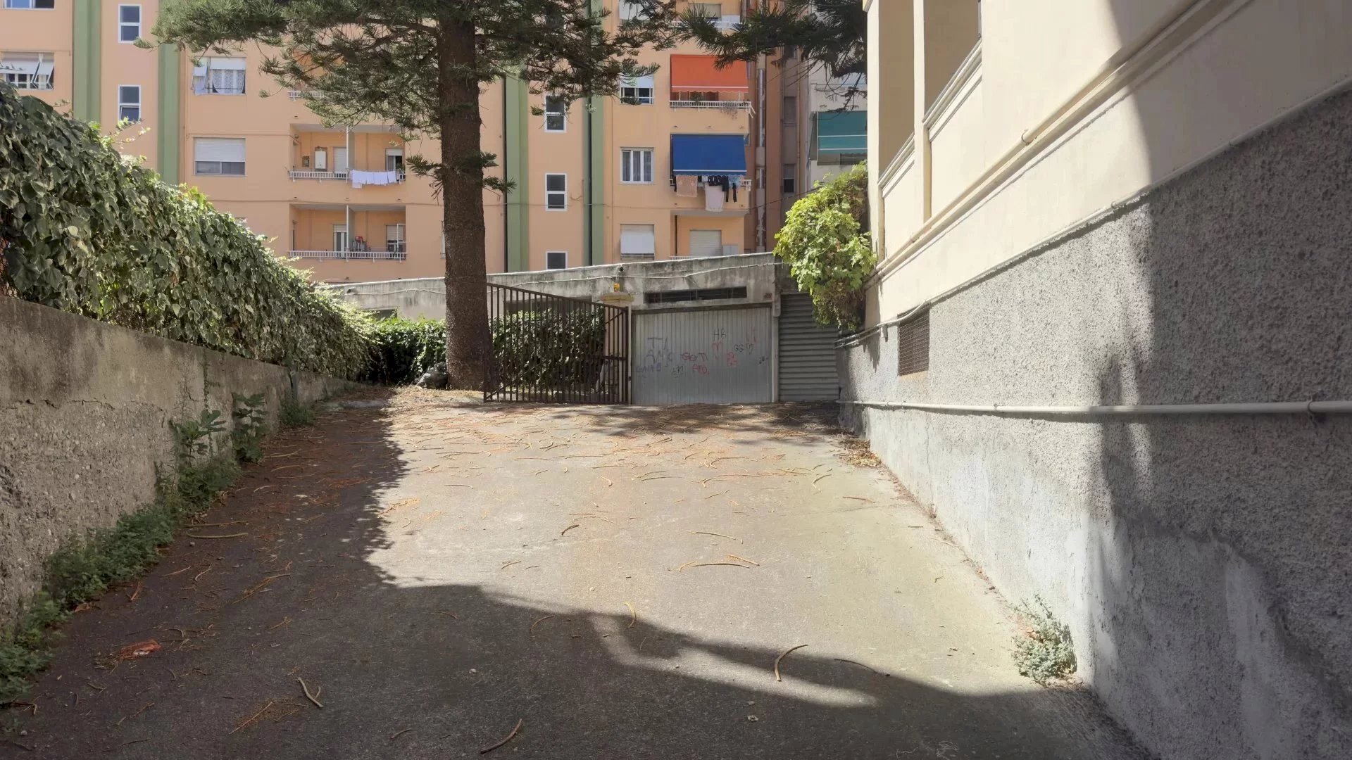 Laboratorio Ventimiglia - foto 2