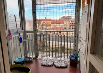 Appartamento Collegno - foto 15