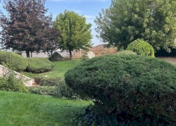 Villa Frazione Revignano, Asti - foto 2