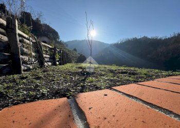 Villa Via alla Chiesa di Geminiano, Genova (zona Bolzaneto) - foto 32