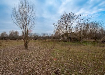 Building land Località Fornasette, SNC
Cologno al Serio, Cologno al Serio - photo 11