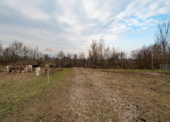 Building land Località Fornasette, SNC
Cologno al Serio, Cologno al Serio - photo 16