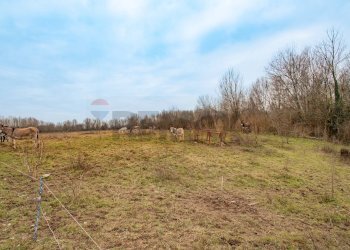 Building land Località Fornasette, SNC
Cologno al Serio, Cologno al Serio - photo 20