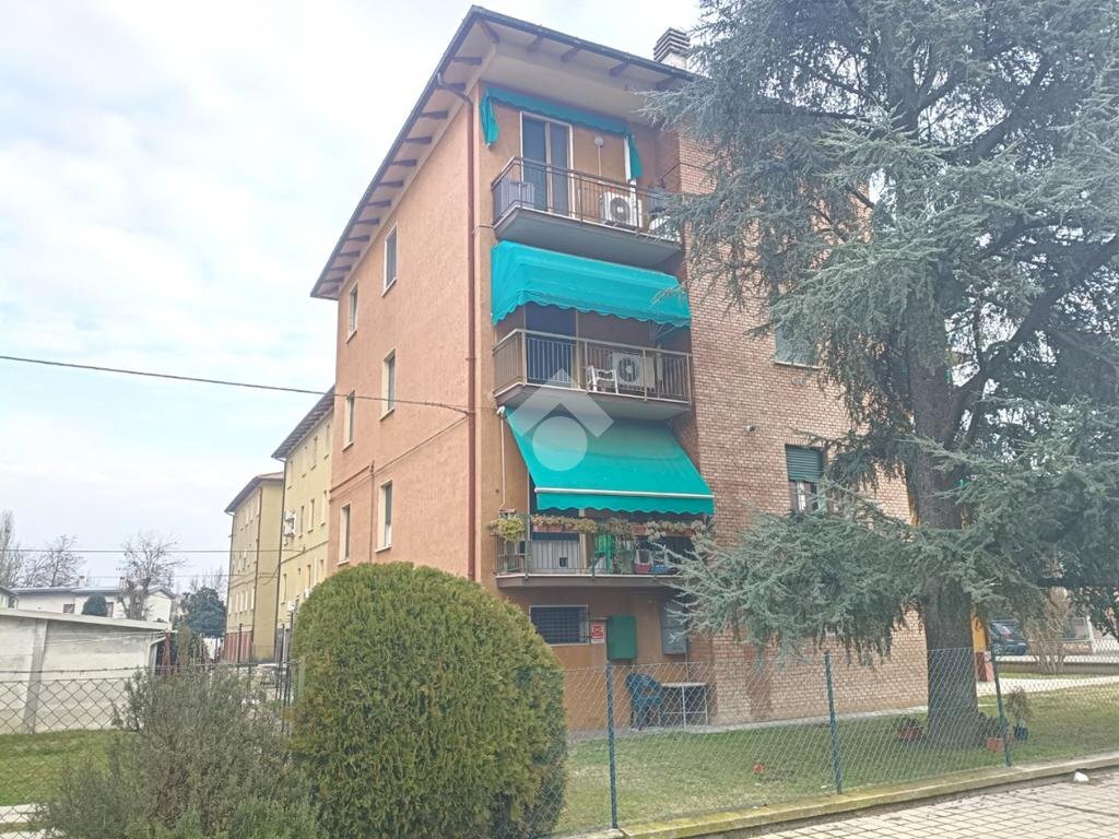 Three-room apartment Molinella, Molinella - photo 3