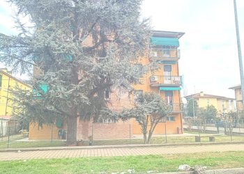 Three-room apartment Molinella, Molinella - photo 4