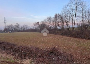 Terreno agricolo Via Alpignano, San Gillio - foto 3