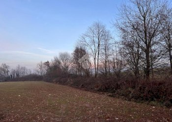 Terreno agricolo Via Alpignano, San Gillio - foto 6