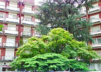 Monolocale Viale Sabotino, Milano (zona Ticinese) - foto 2