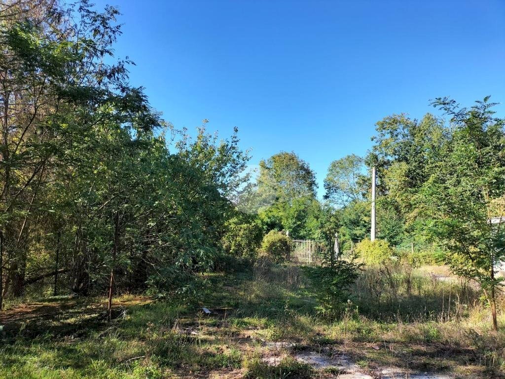 Casa indipendente Borgata Pesiglione, Bene Vagienna - foto 3