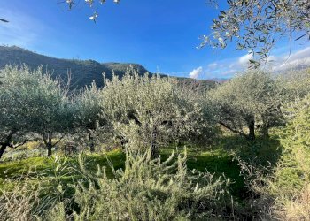 Foto 7 - Terreno edificabile Localita' Serrati Inferiori, Giustenice - foto 7