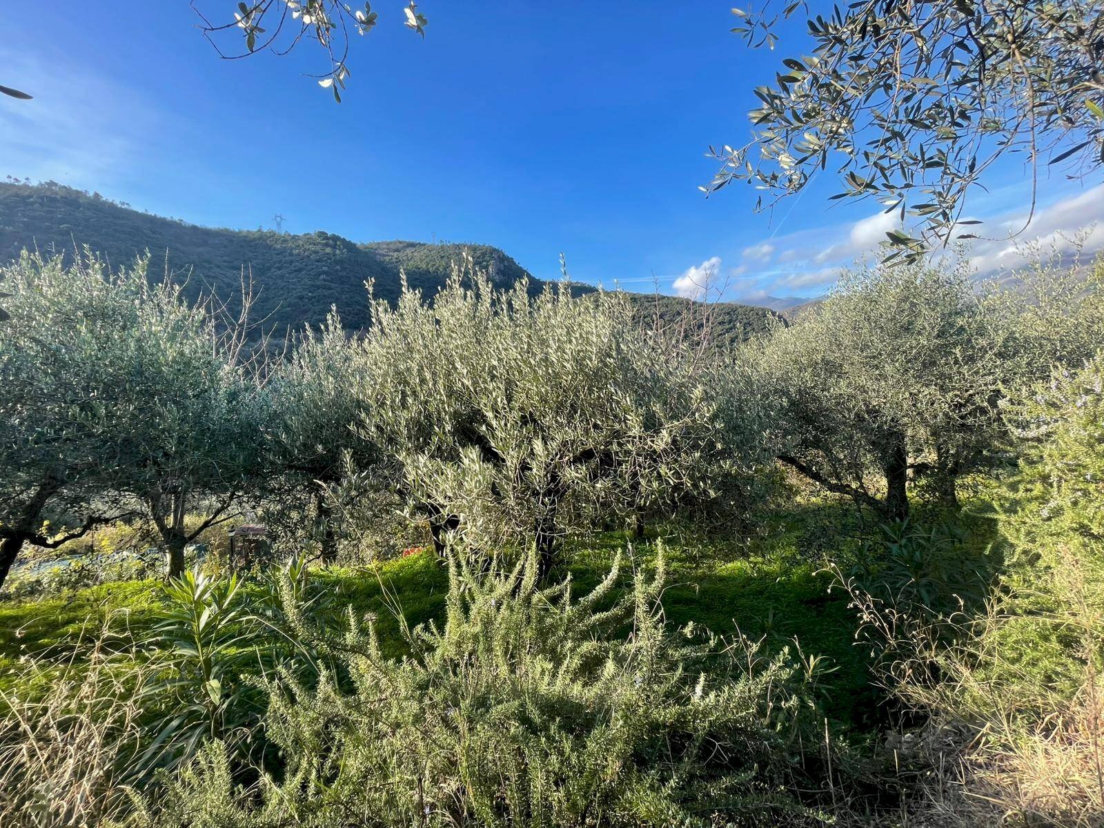 Foto 3 - Building land Localita' Serrati Inferiori, Giustenice - photo 3