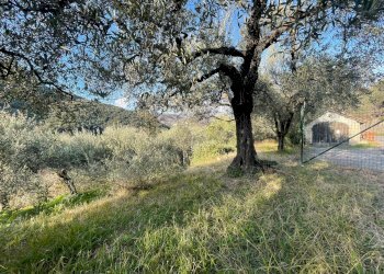 Foto 4 - Terreno edificabile Localita' Serrati Inferiori, Giustenice - foto 4