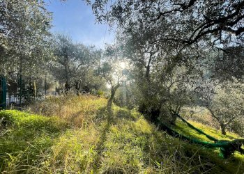 Foto 5 - Terreno edificabile Localita' Serrati Inferiori, Giustenice - foto 5