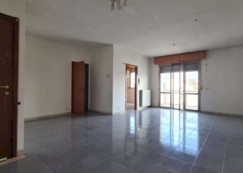 Capannone Soliera - foto 5