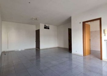 Capannone Soliera - foto 6