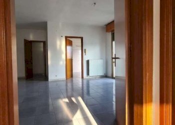 Capannone Soliera - foto 12