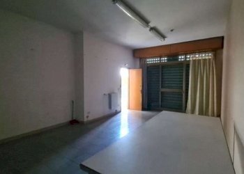 Capannone Soliera - foto 22