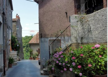 Giardino - Bilocale Via Delle Cantine
 
66, Ischia di Castro - foto 24