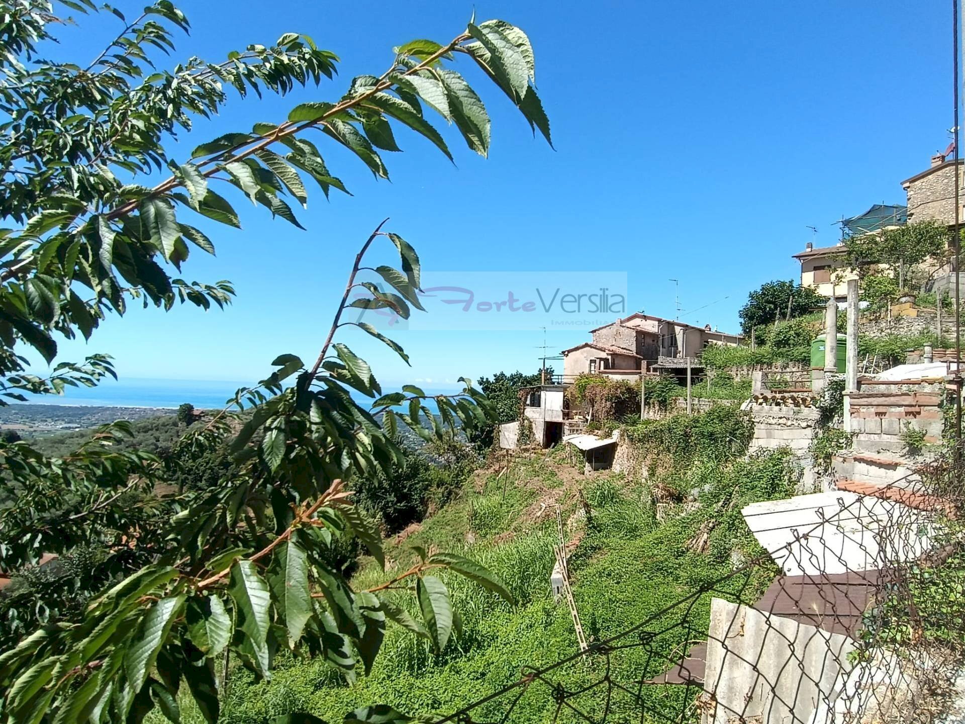 Foto 2 - Casa semi indipendente Pietrasanta - foto 2