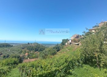 Foto 1 - Casa semi indipendente Pietrasanta - foto 1