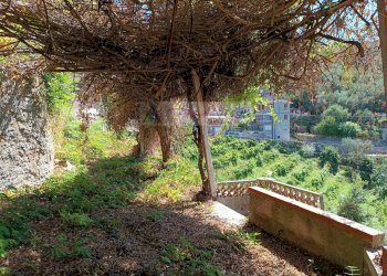 Foto 6 - Casa semi indipendente Pietrasanta - foto 6