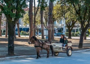 Foto 33 - Casa semi indipendente Pietrasanta - foto 29