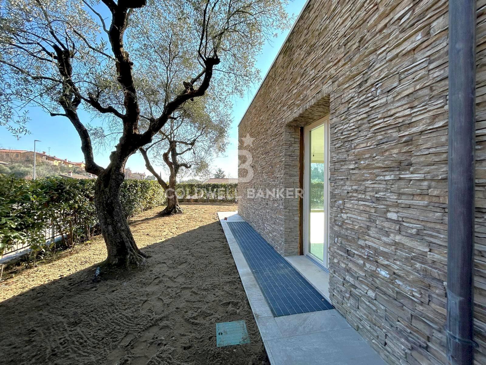 GIARDINO CON ULIVI - Villa Via Trevisago, Soiano del Lago - foto 1