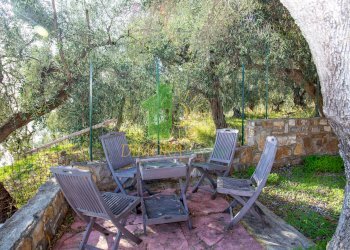 Foto 17 - Independent house Via Strada Nuova
 
130, Cipressa - photo 17