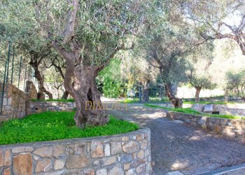 Foto 18 - Independent house Via Strada Nuova
 
130, Cipressa - photo 18