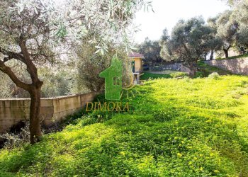 Foto 27 - Independent house Via Strada Nuova
 
130, Cipressa - photo 27